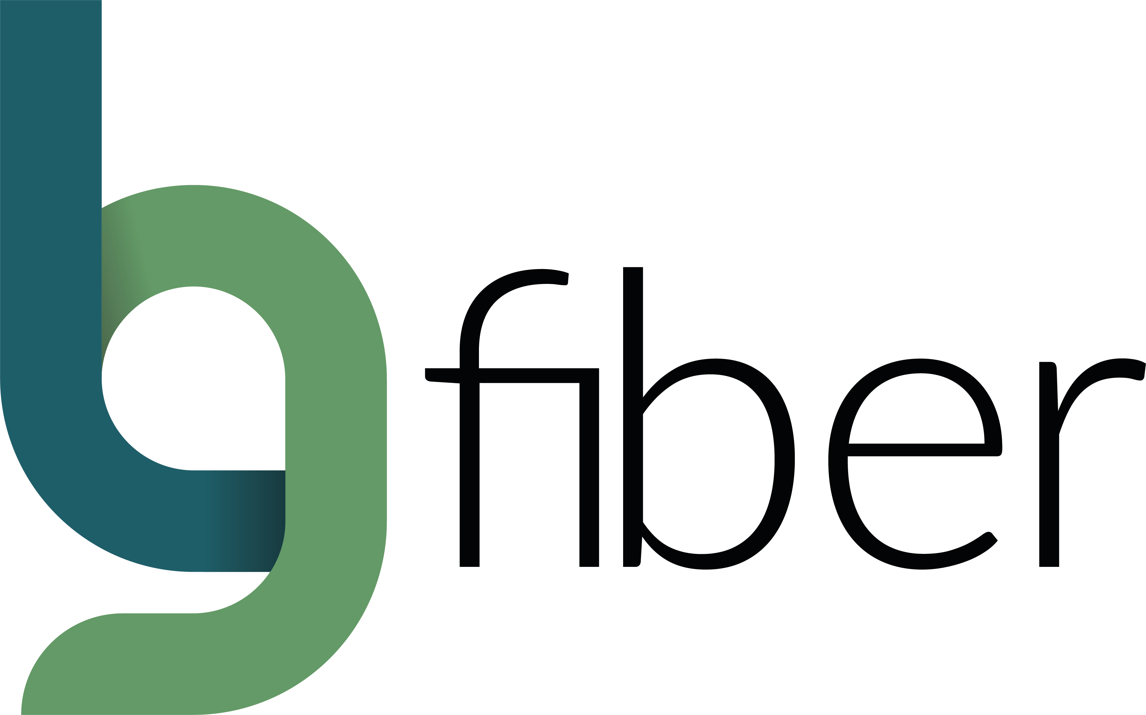 LG Fiber